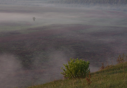 DSC0960