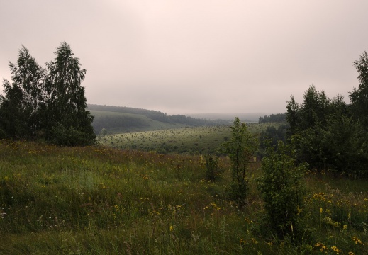  DSC4835