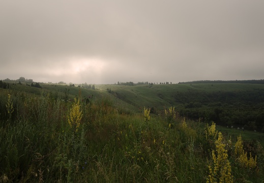  DSC4836