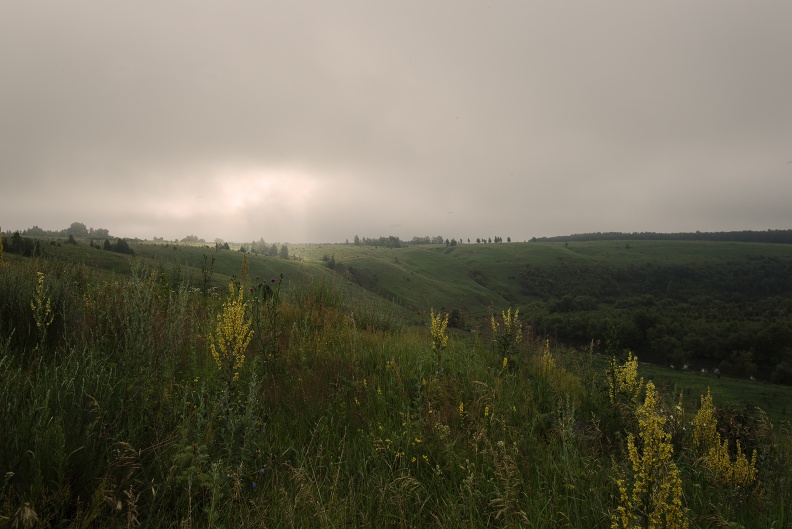 _DSC4836.jpg